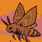 Tumblr.com: Sin & Punishment moths by mgmaris